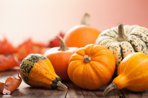 Citrouilles décoratives et feuilles d'automne pour Halloween