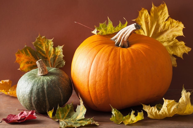 Citrouilles décoratives et feuilles d'automne pour Halloween