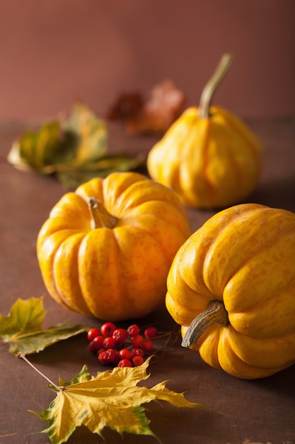 Citrouilles décoratives et feuilles d'automne