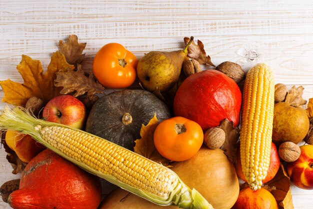 Citrouilles de différents légumes, pommes, poires, noix, maïs, tomates, feuilles jaunes sèches sur fond en bois blanc. Récolte d'automne, surface.