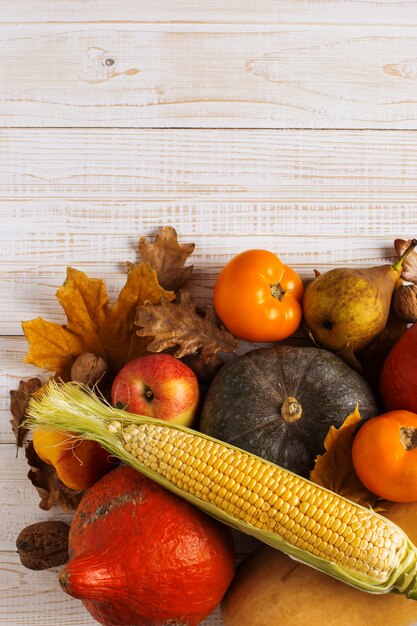 Citrouilles de différents légumes, pommes, poires, noix, maïs, tomates, feuilles jaunes sèches sur fond en bois blanc. Récolte d'automne, surface.