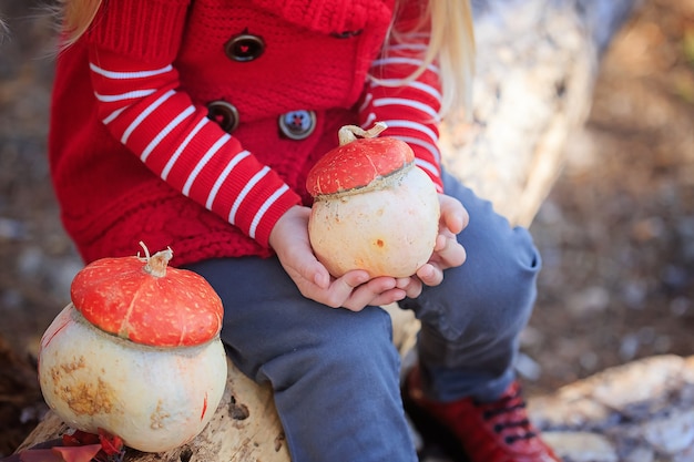 Citrouilles entre les mains d'une petite fille.