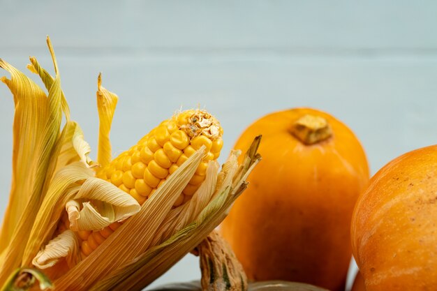 Citrouilles et épi de maïs se bouchent