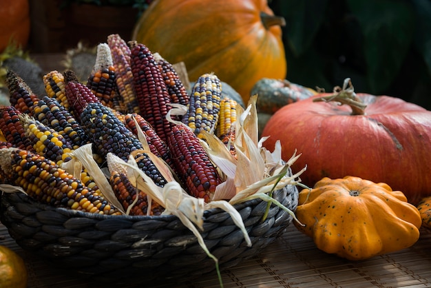 Photo citrouilles et épis de maïs avec des graines colorées dans le panier de paille