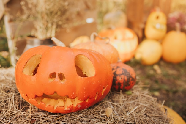 Citrouilles fantômes sur fond d'Halloween