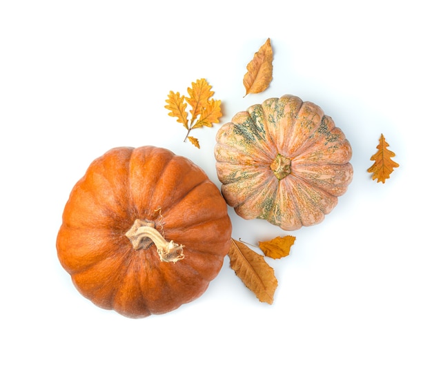 Citrouilles et feuillage d'automne sur fond blanc. Vue de dessus.