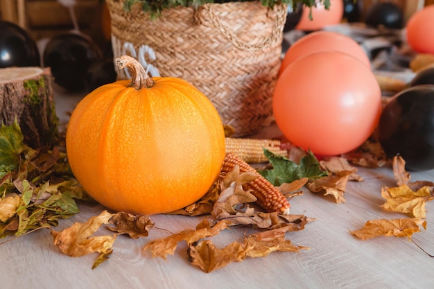 Citrouilles avec feuilles d'automne et ballons orange, plaid, maïs sur le sol. Concept d'Halloween et d'horreur