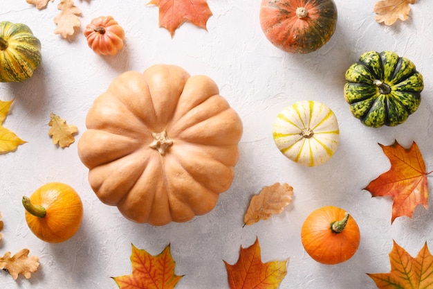 Citrouilles et feuilles d'automne colorées sur fond marron