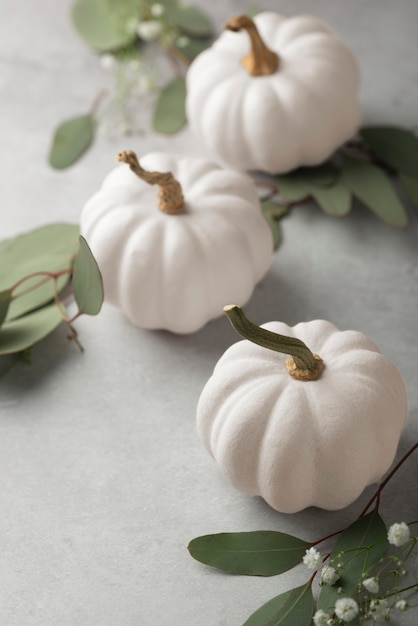 Photo citrouilles et feuilles blanches à angle élevé