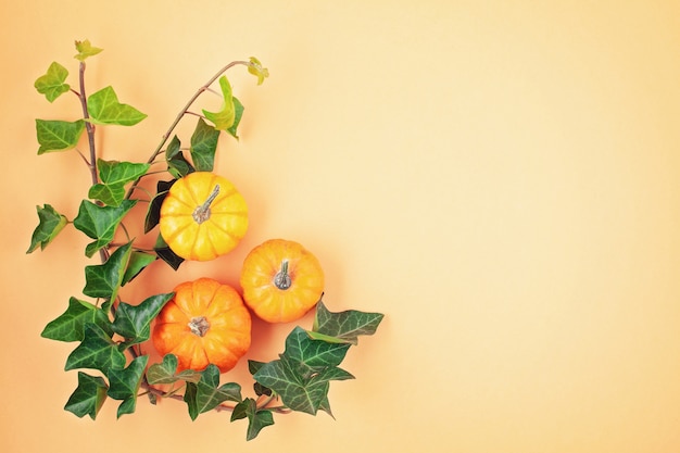 Citrouilles et feuilles sur fond pastel