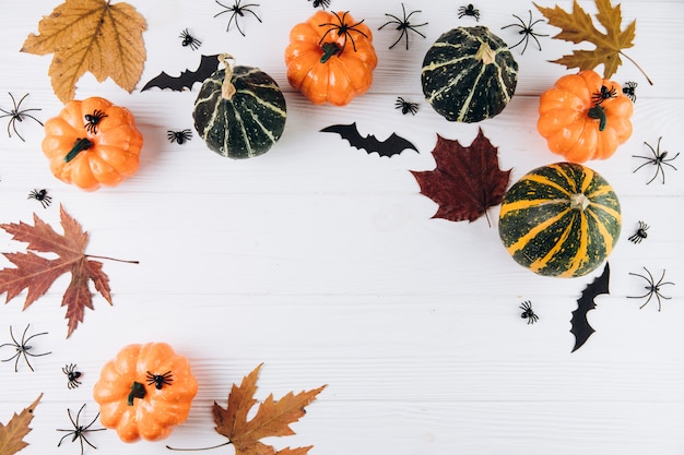 Citrouilles, feuilles séchées, araignées et chauves-souris sur bois blanc