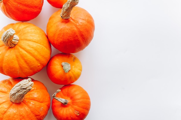 citrouilles sur fond blanc