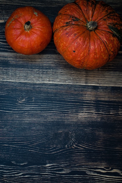 Citrouilles sur un fond en bois sombre.