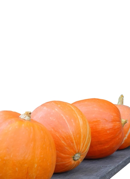 Les citrouilles fraîches se trouvent sur un banc en bois sur fond blanc