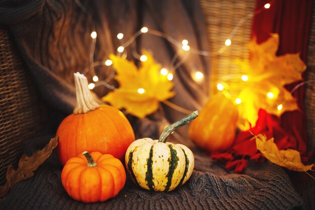 Citrouilles et guirlandes à l'intérieur. Style campagnard. Préparation pour Halloween.