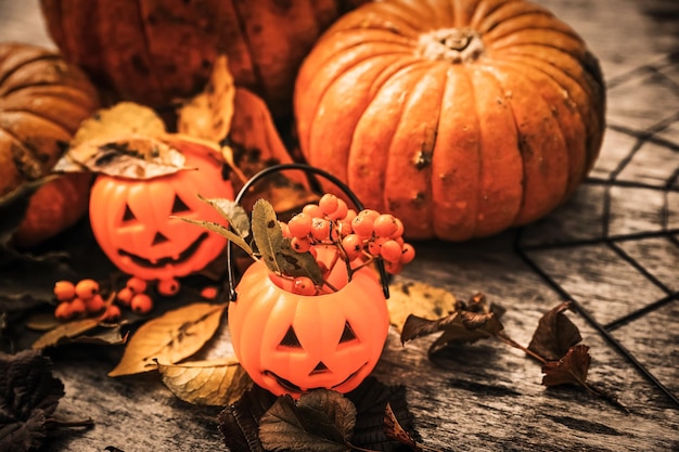 Citrouilles d'Halloween et araignée sur fond de bois