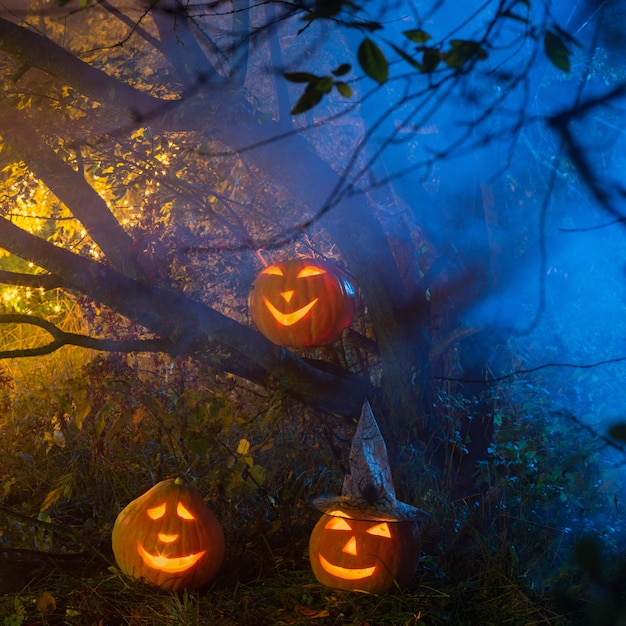 Photo citrouilles d'halloween dans la forêt de nuit