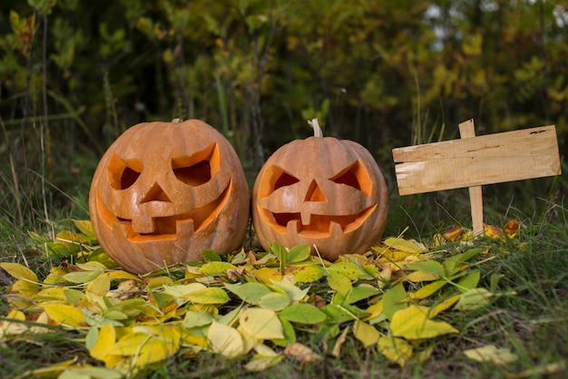 Citrouilles d'Halloween dans la forêt