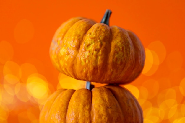 Citrouilles d'Halloween sur fond de lumières floues orange vif