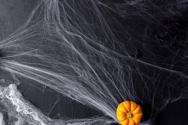 Citrouilles d'Halloween sur fond noir avec une araignée effrayante et une toile.