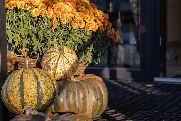 Citrouilles d'halloween orange sur pile de foin ou de paille en journée ensoleillée décorations d'Halloween