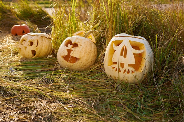 Photo citrouilles d'halloween sculptées blanches sur l'herbe.