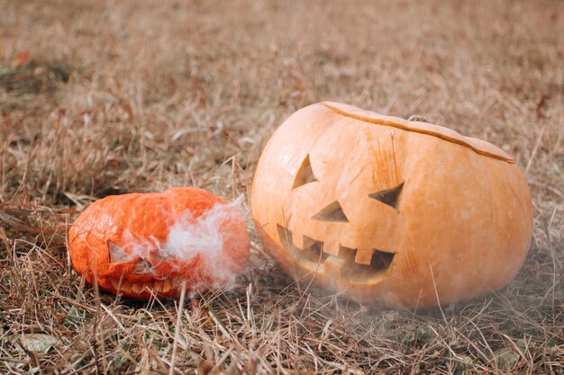 Citrouilles d'halloween sculptées avec de la fumée sur le champ d'automne.