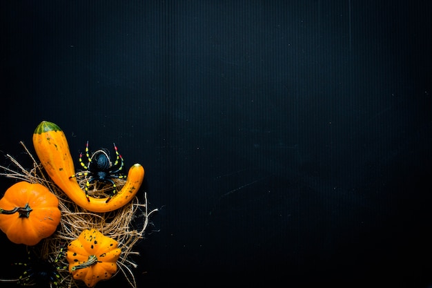 Photo citrouilles d'halloween, sur une surface en bois