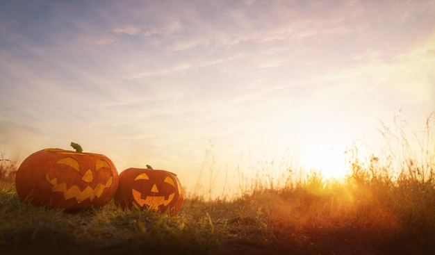 Citrouilles d'Halloween sur le terrain