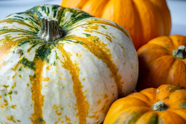 citrouilles jaunes et blanches sur un tableau blanc