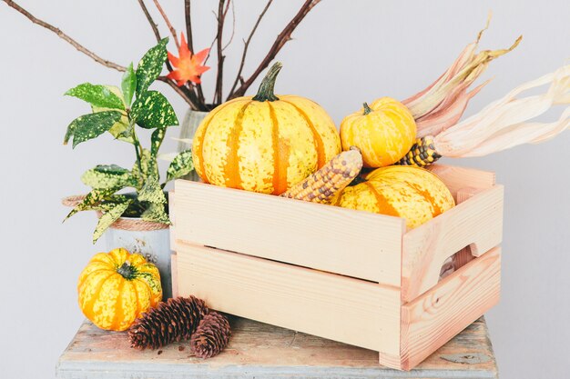 Citrouilles jaunes dans un panier en bois sur fond gris. Intérieur de la salle