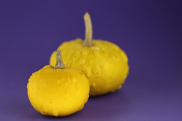 Photo citrouilles jaunes sur un fond violet.