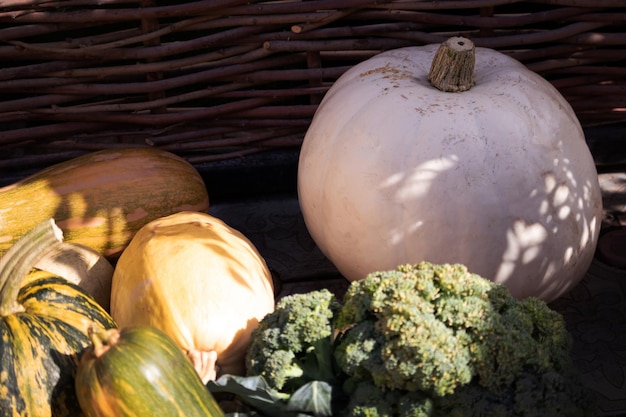 Citrouilles Et Légumes Photo Premium