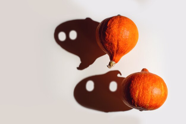 Citrouilles et leurs ombres Halloween concept