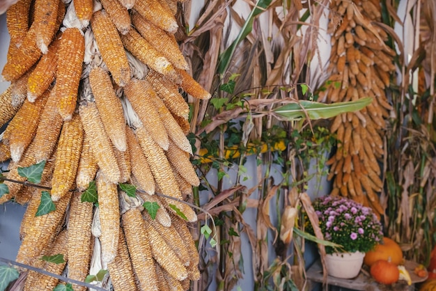 Citrouilles de maïs sèches et décoration de fleurs d'automne