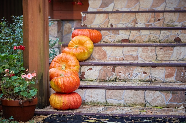 Citrouilles sur les marches de la maison. Décorations pour les fêtes d'Halloween