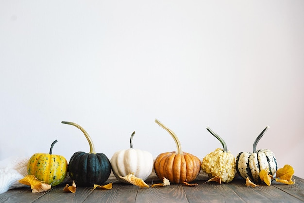 Des citrouilles multicolores et des feuilles d'automne sèches sur un fond en bois Vue supérieure pour l'automne automne Concept de Thanksgiving Arrière-plan d'hiver