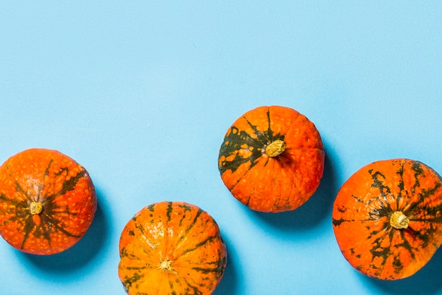 Citrouilles mûres bouchent la vue de dessus