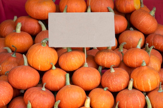 Citrouilles orange fraîches et étiquette de prix en bois sur le marché