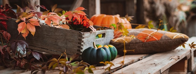 Citrouilles organiques multicolores à côté d'une vieille boîte en bois avec des feuilles et des fleurs colorées à l'intérieur