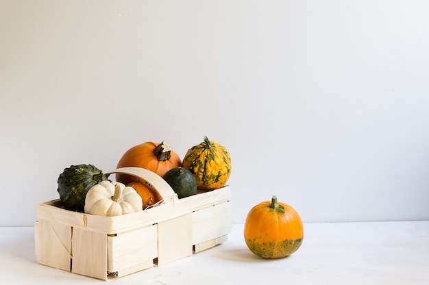 Citrouilles d'ornement sur une boîte en bois