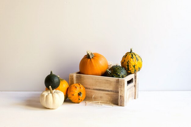 Citrouilles d'ornement sur une boîte en bois