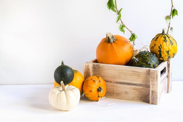 Citrouilles d'ornement sur une boîte en bois