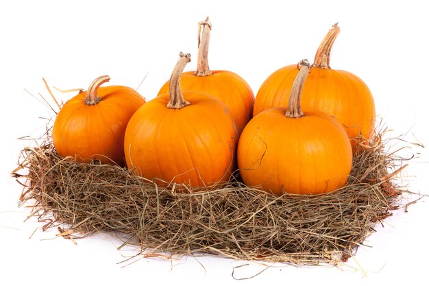 Citrouilles avec de la paille sur une pile de foin isolé sur blanc