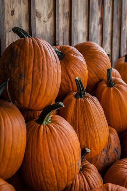 Citrouilles par clôture à vendre sur le marché