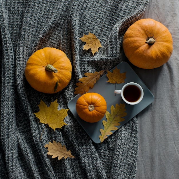 Des citrouilles et un plaid d'automne sont disposés sur la table, vue de dessus