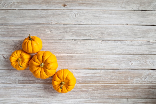 Citrouilles sur planche de bois