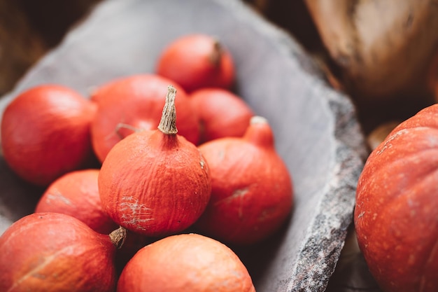 Citrouilles rouges dans un bol en pierre rustique