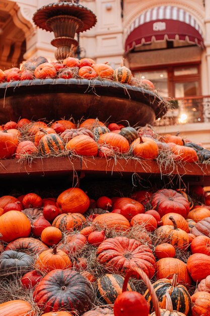 Citrouilles de saison fraîches orange vif sur le foin Récolte d'automne et composition de Thanksgiving verticale