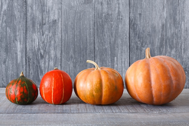 Citrouilles sur table en bois rustique patiné